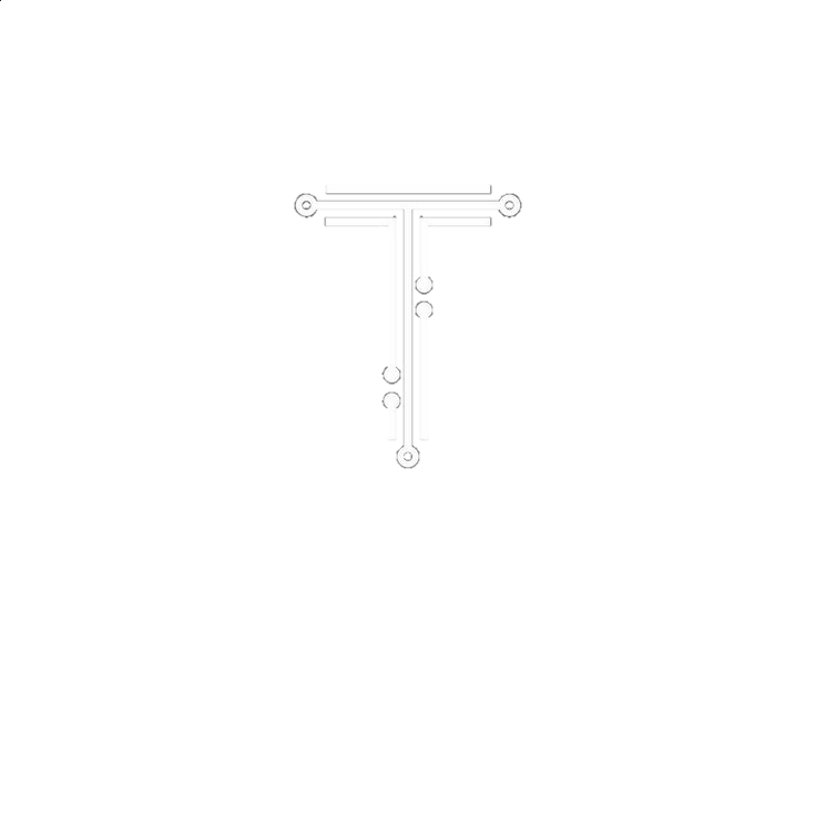 Techzies Main Logo